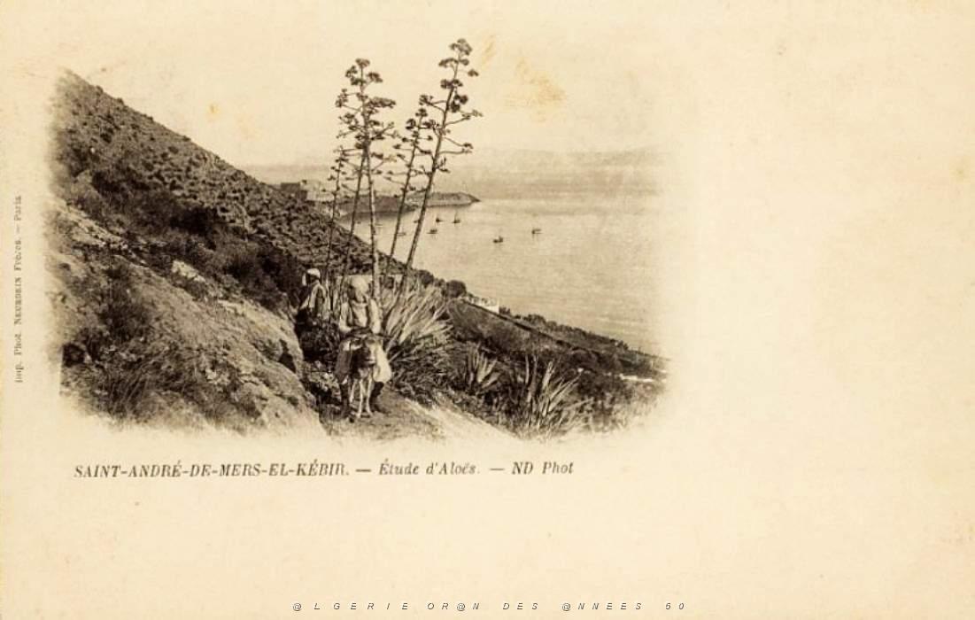 a 13 Rade de Mers el kebir.jpg